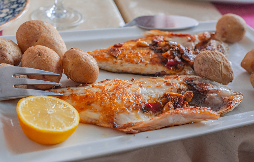 ElMedano 25dec2022 168