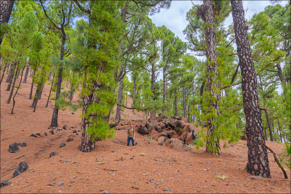 La Palma 27 28dec2022 179