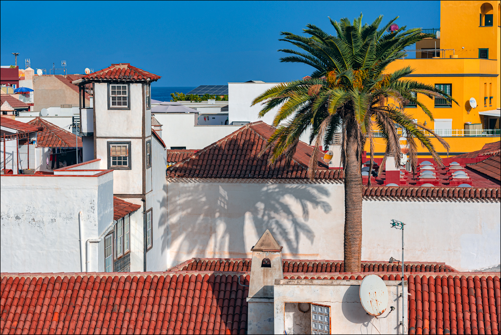 PuertoDeLaCruz 31dec 01jan2023147