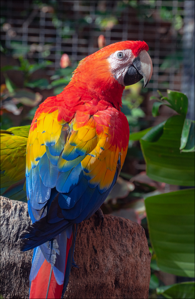 PuertoDeLaCruz 31dec 01jan2023171