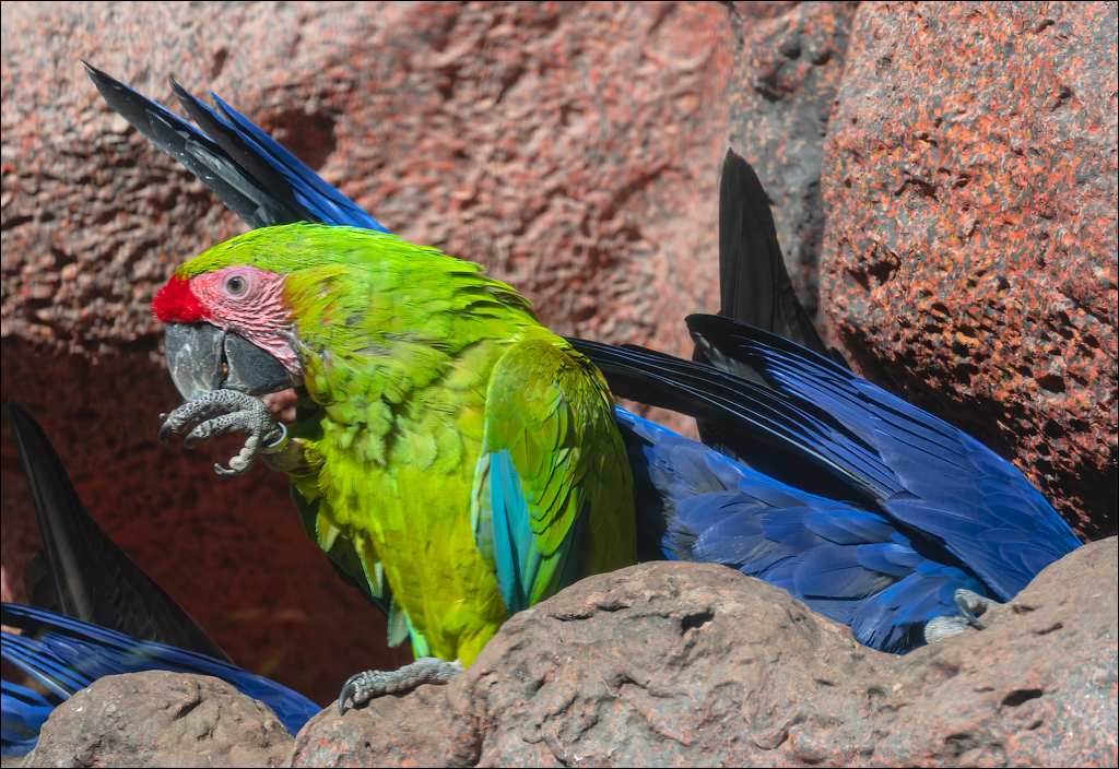 PuertoDeLaCruz 31dec 01jan2023177