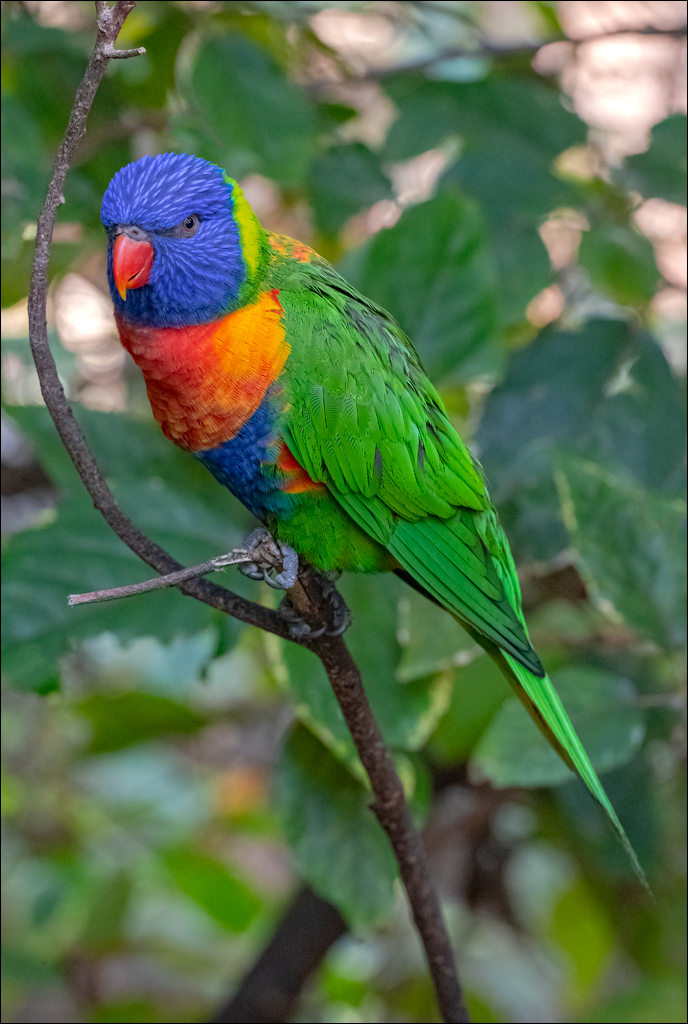 PuertoDeLaCruz 31dec 01jan2023180