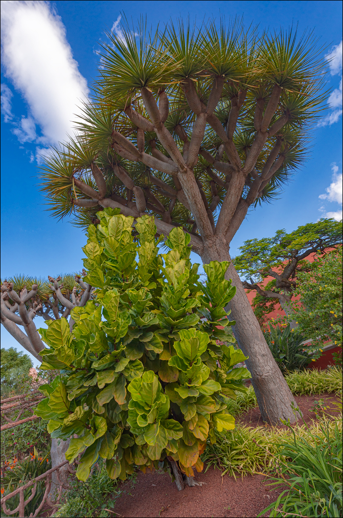 Saint Augustine 30dec2023 114