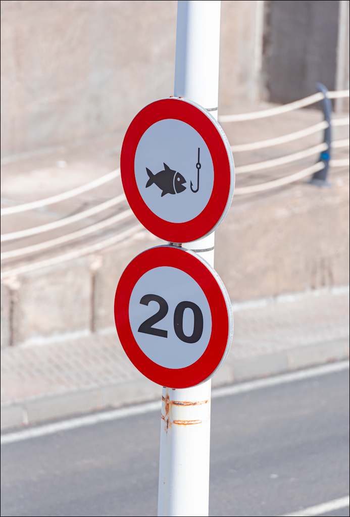 GarachicoLosVinos 31dec2023 102