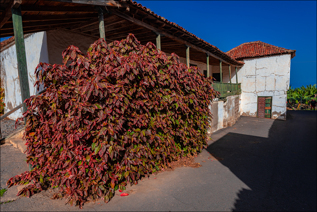 PiscinasElGuindaste PlayaLosRoques 01jan2023 103