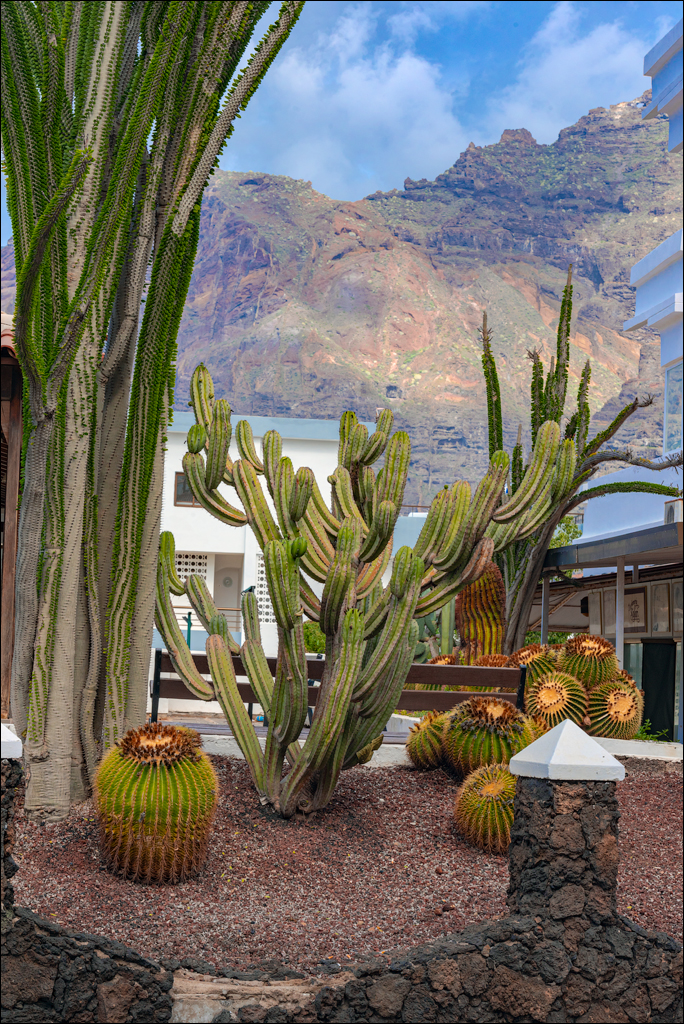 LosGigantes 03jan2023 103