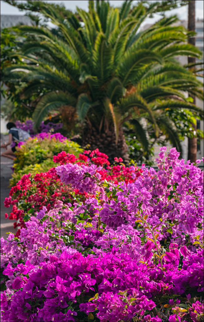 LosGigantes 03jan2023 119