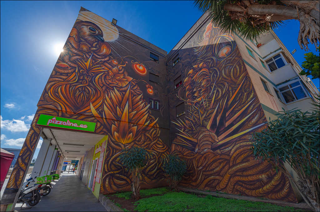 SanCristobalDeLaLaguna 06jan2023 101