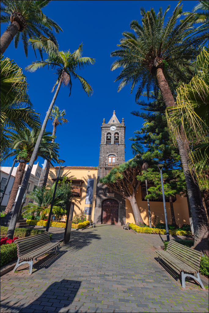 SanCristobalDeLaLaguna 06jan2023 127