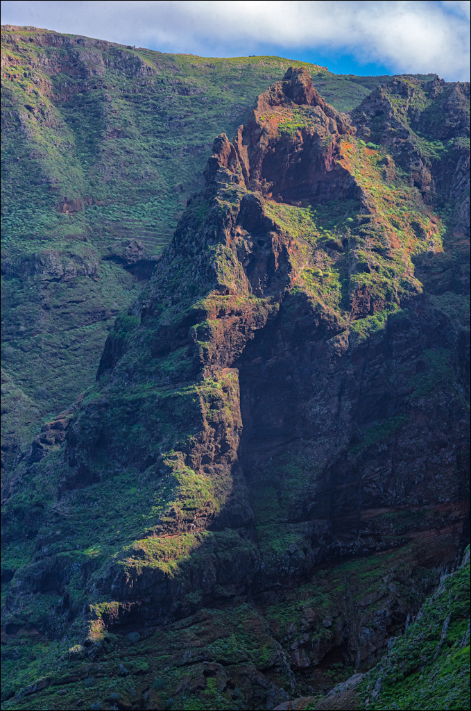 PuntaDelHidalgo 07jan2023 111