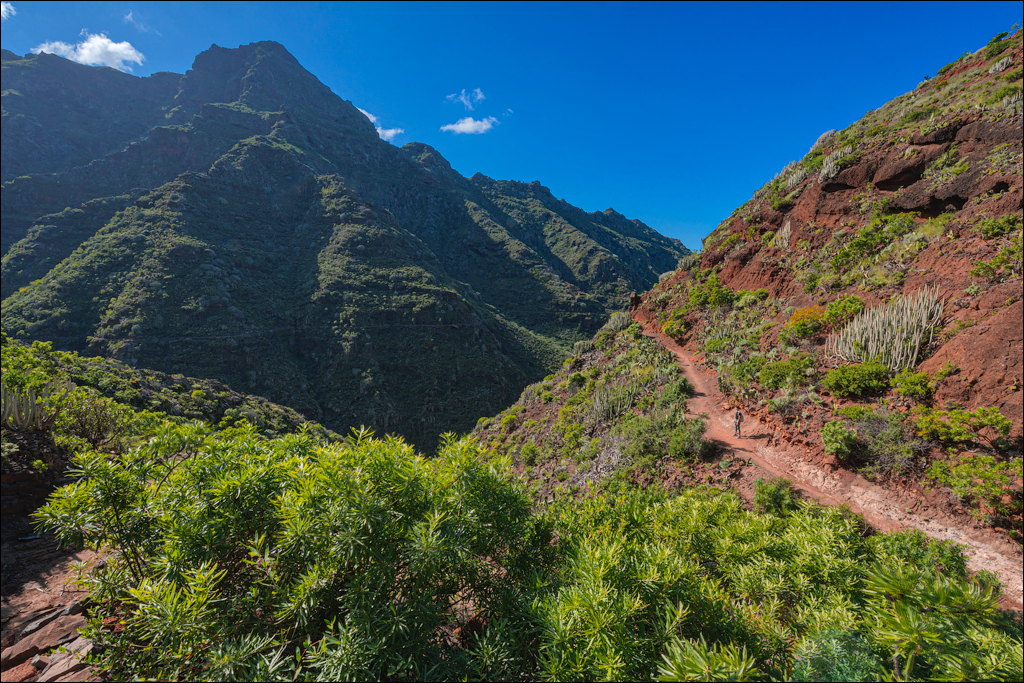 PuntaDelHidalgo 07jan2023 120