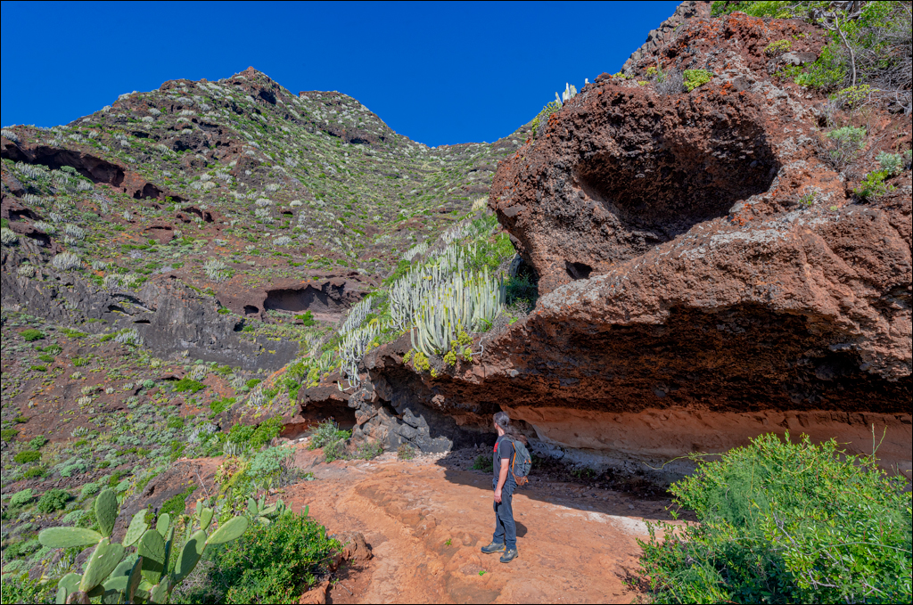 PuntaDelHidalgo 07jan2023 125