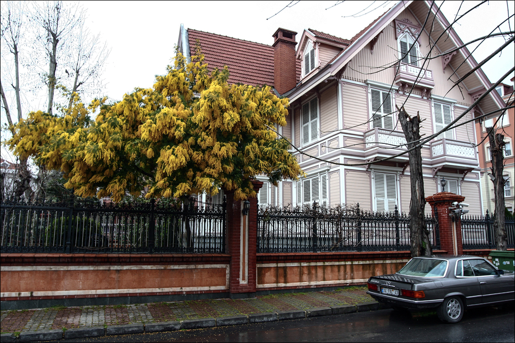 Istanbul 2009022315564204