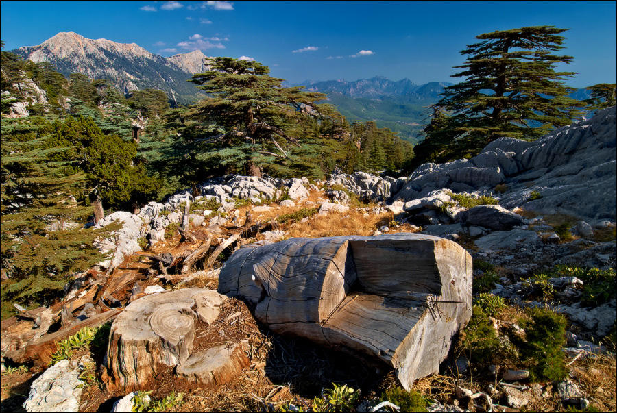 Turkey '2011. Lycian Way 2. Gedelme - Beycik - Cirali.