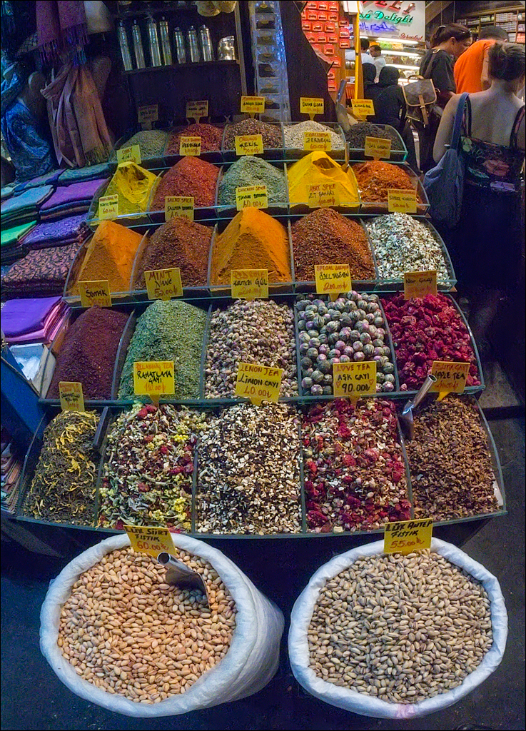 Istanbul 2015 20150815106