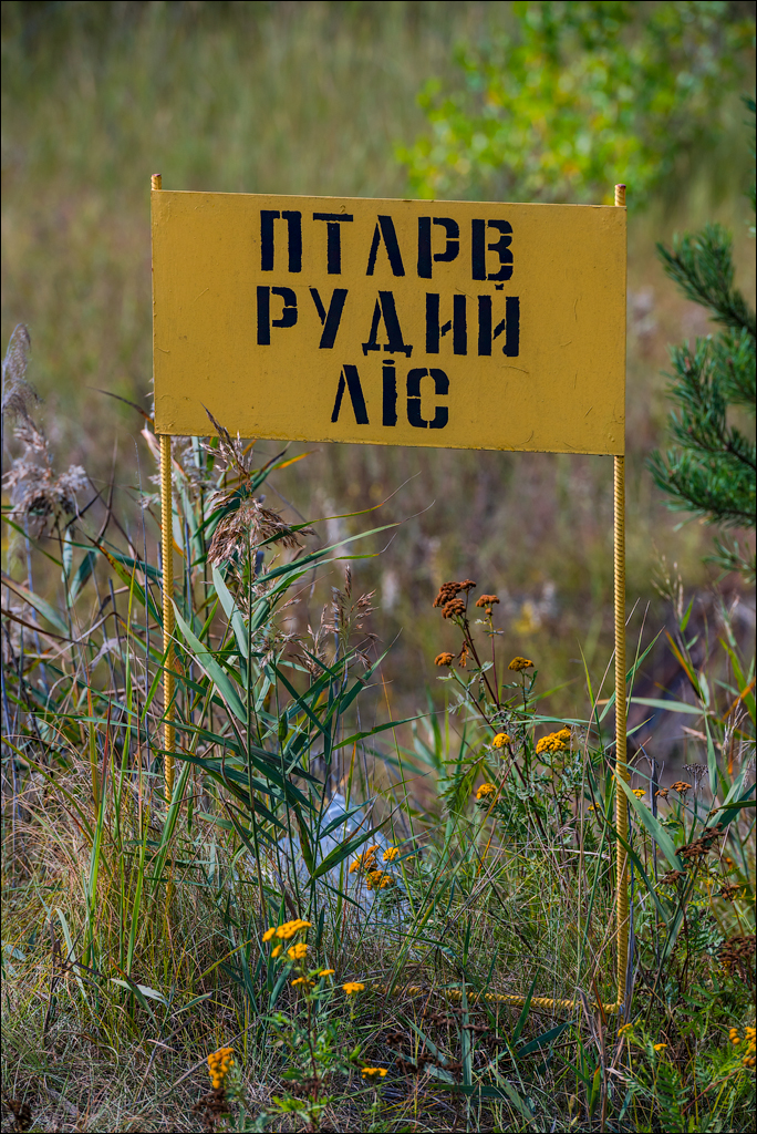 PripyatChernobyl Jun2018 070