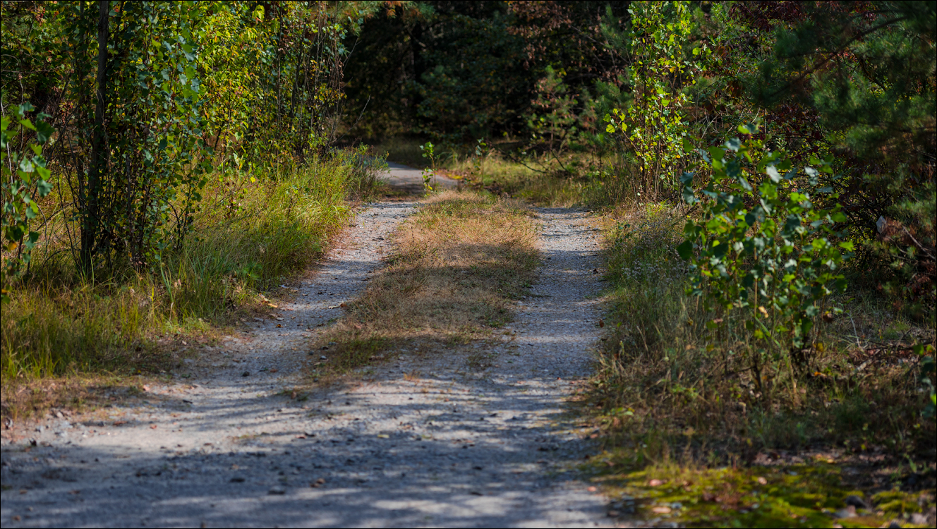 PripyatChernobyl Jun2018 071