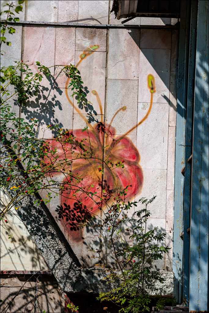 PripyatChernobyl Jun2018 116