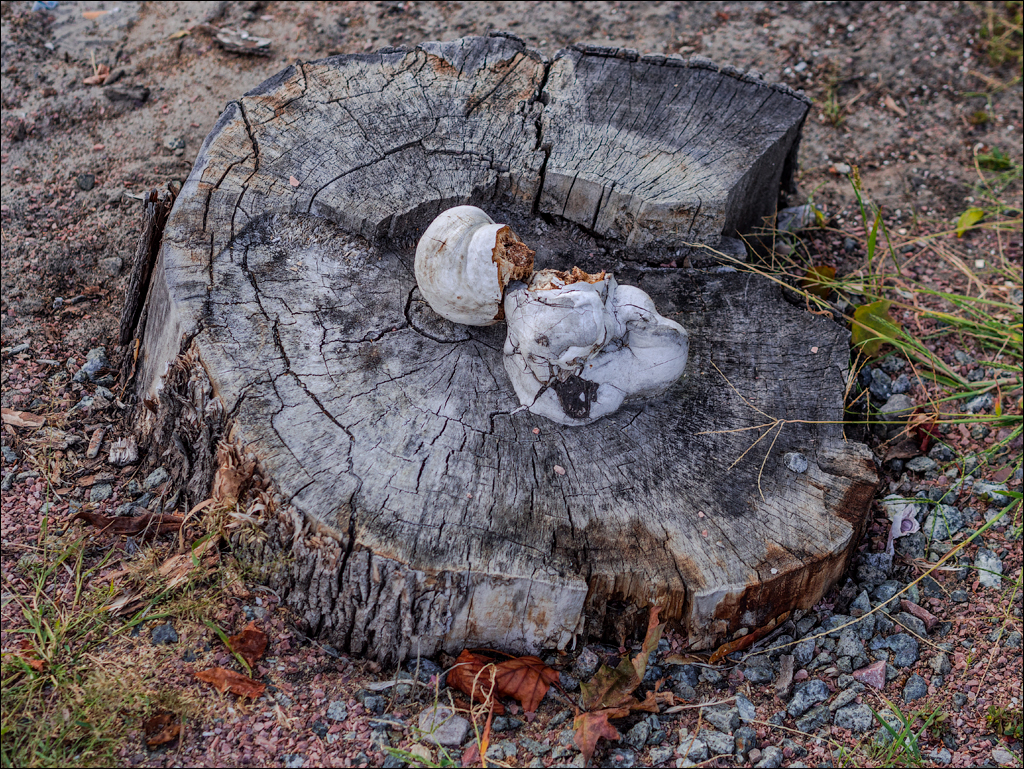 PripyatChernobyl Jun2018 213