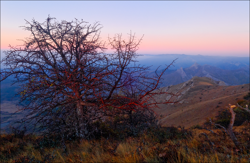 Crimea 201220170305370