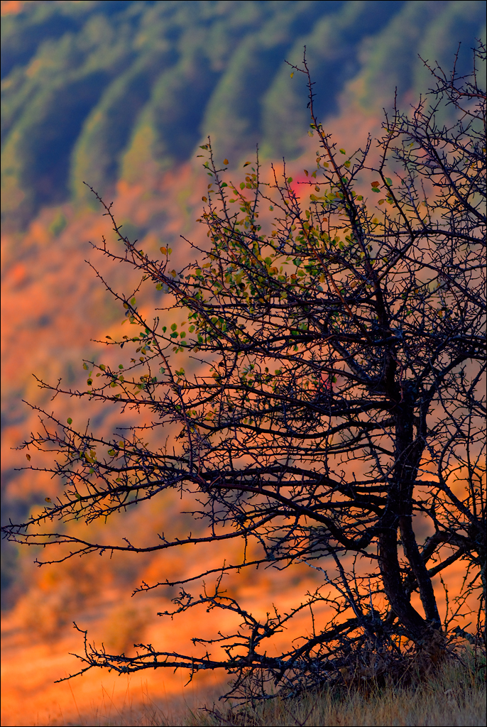 Crimea 201220170305376