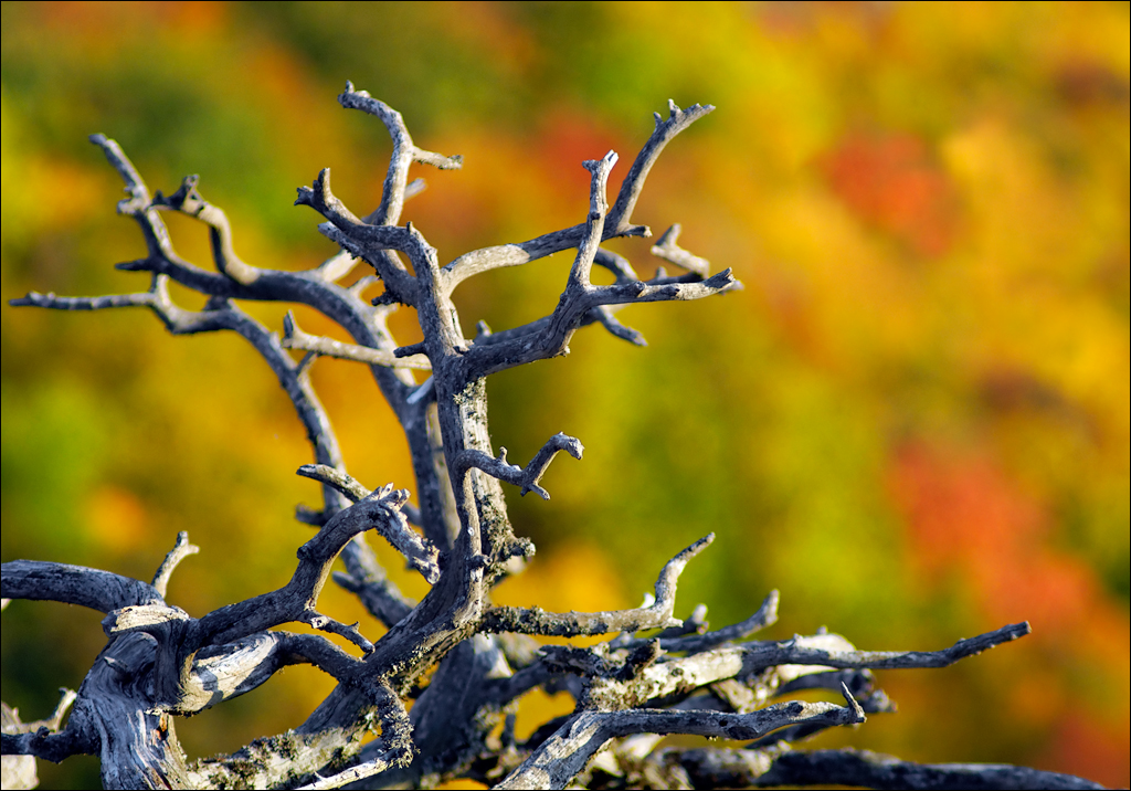 Crimea 201220170305465