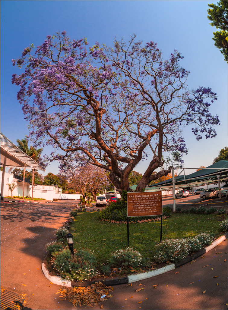 Zambia sep2014 P1 006