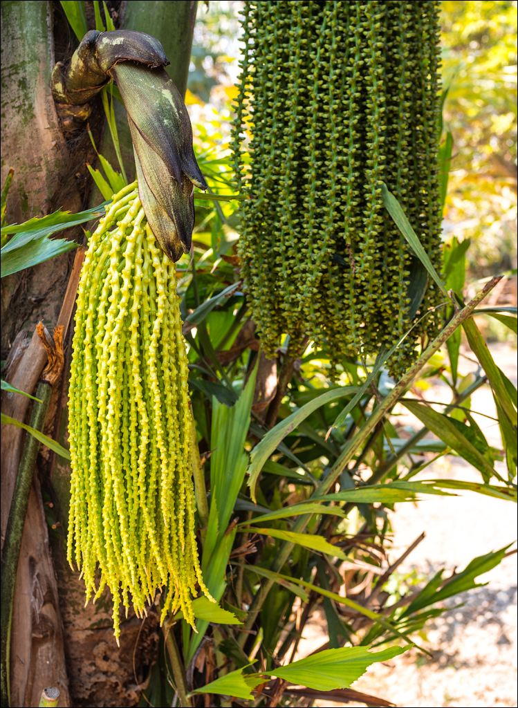 Zambia sep2014 P1 084