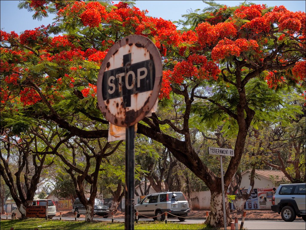 Zambia sep2014 P1 099