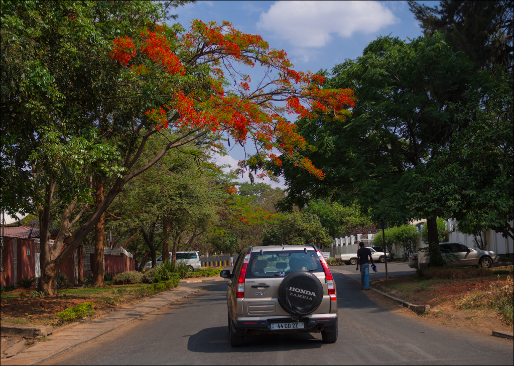 Zambia sep2014 P1 164