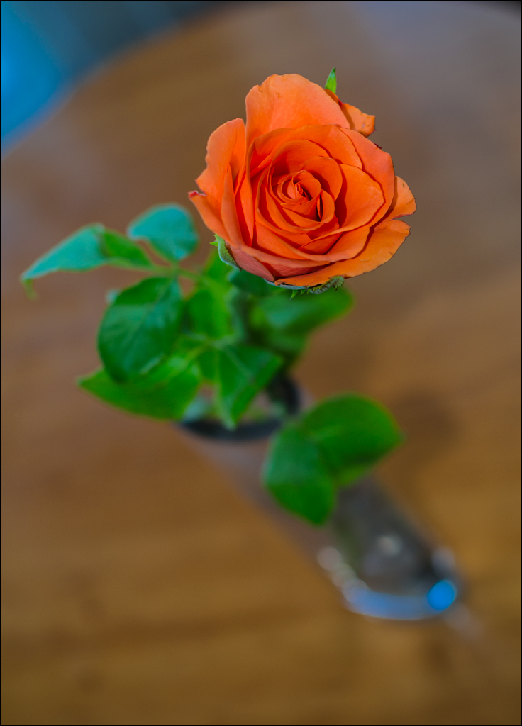 Zambia sep2014 P2 044