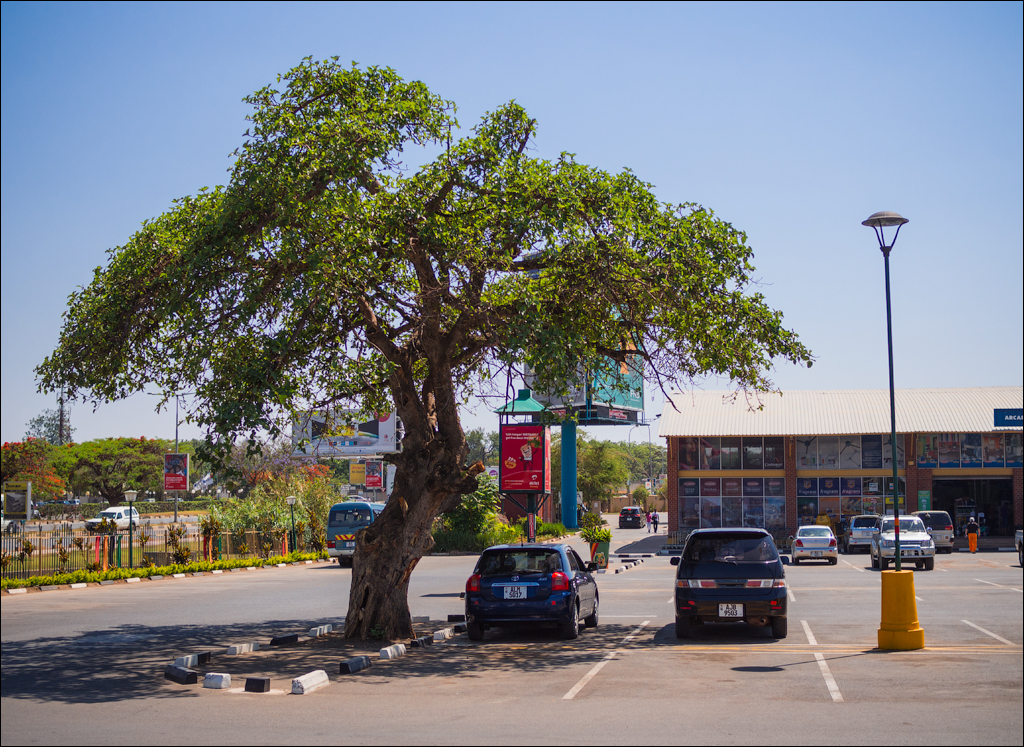 Zambia sep2014 P2 057