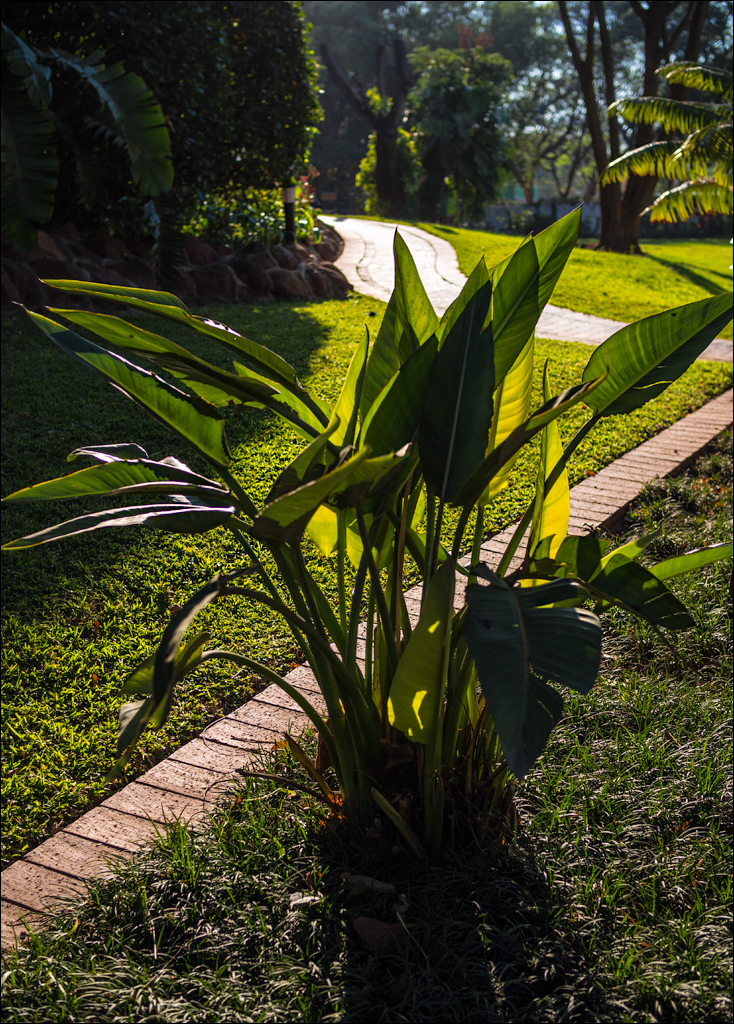 Zambia sep2014 P2 100