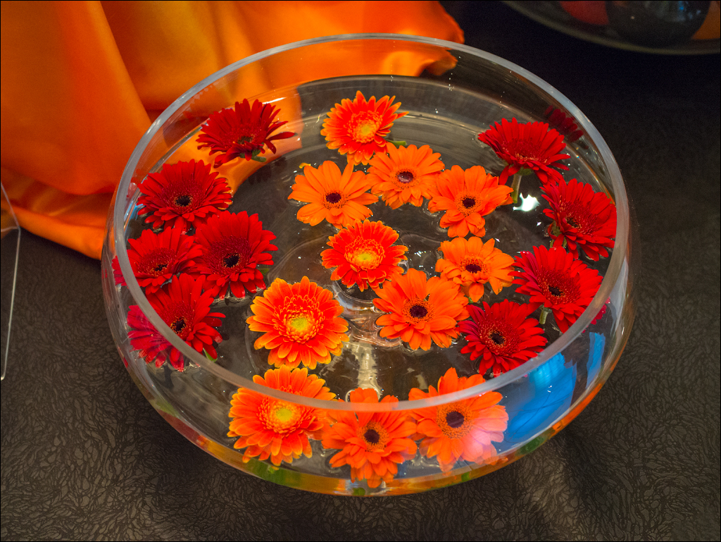 Zambia sep2014 P2 126