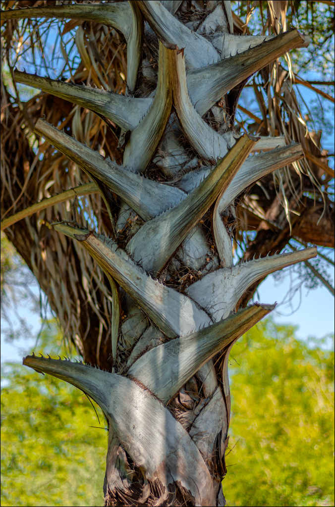 Zambia 20080419 20 111