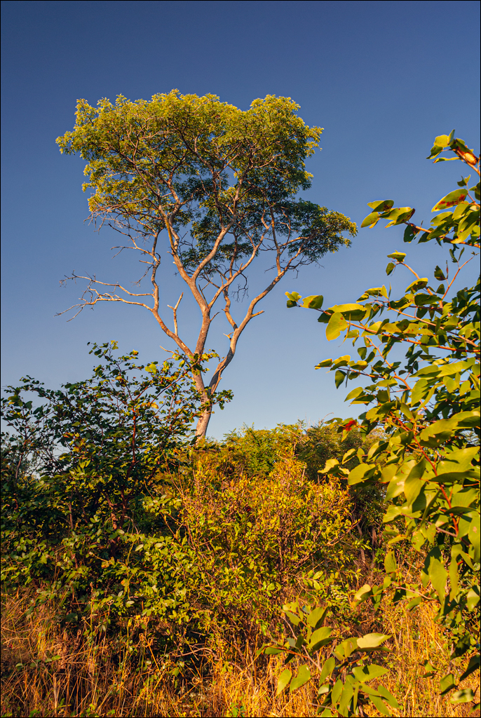 Zambia 20080419 20 134