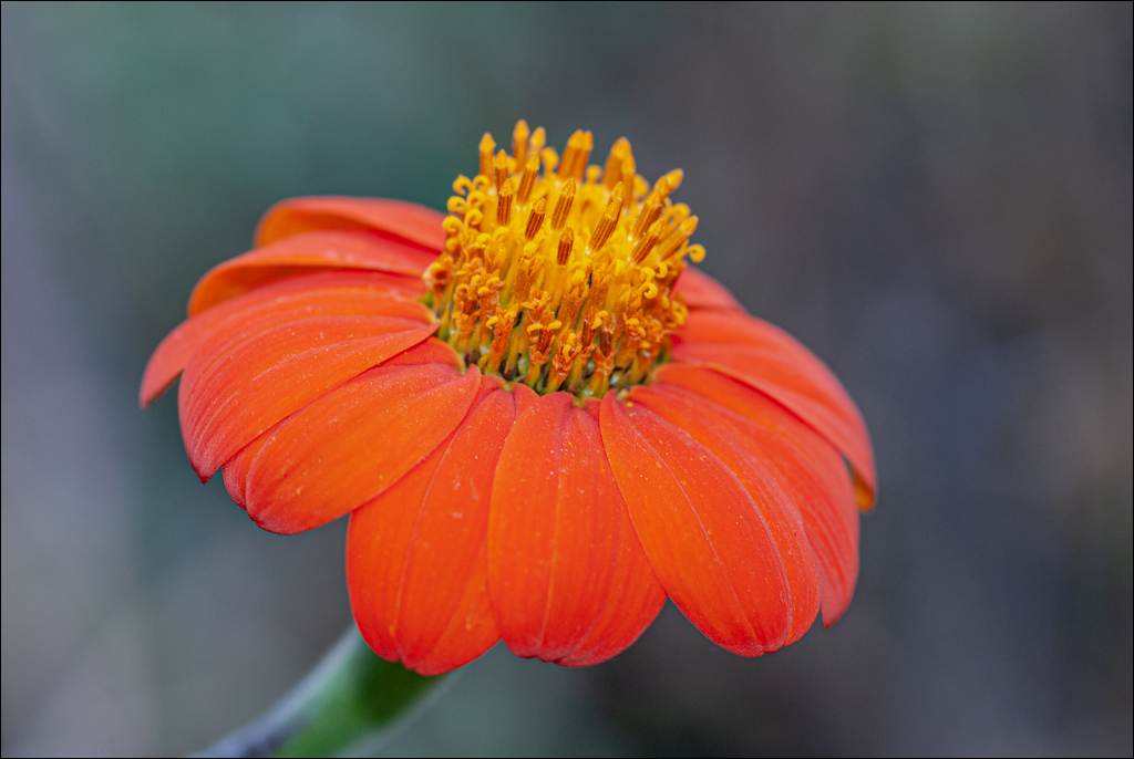 Zambia 20080419 20 169