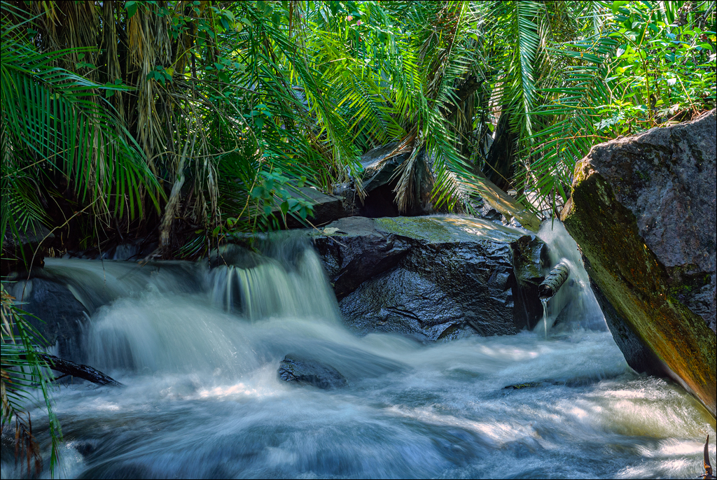 Zambia 20080419 20 200
