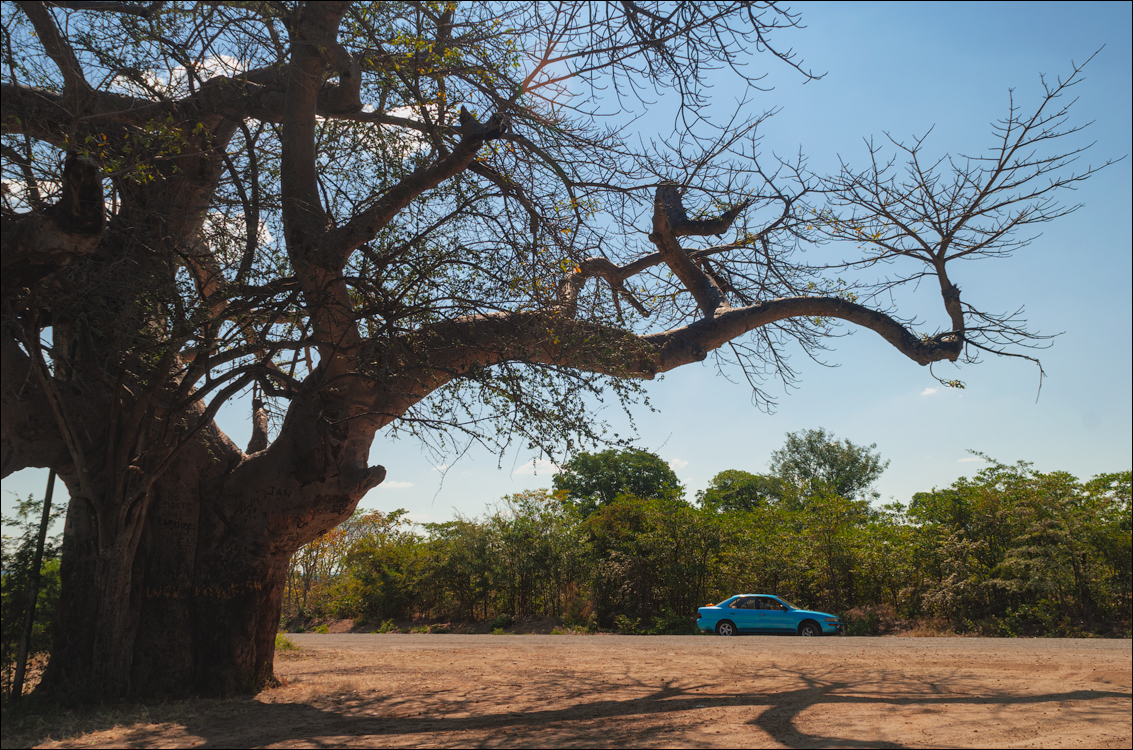 Zambia 20080419 20 219