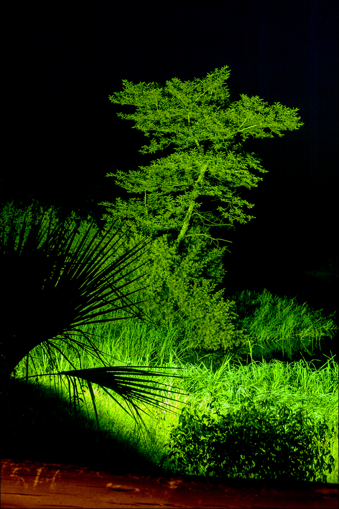 Zambia Mosi feb2007 189