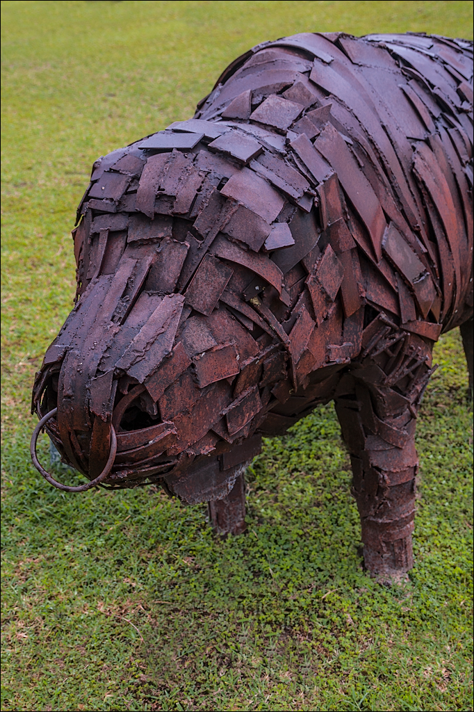 Zambia Chaminuka dec2006 146